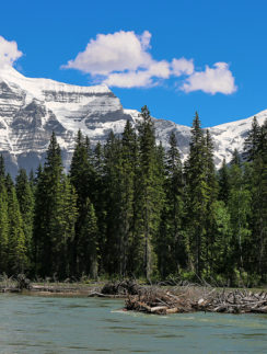 Mount Robson Lodge