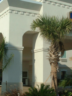 Best Western Robstown Tropic Inn