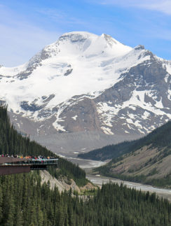 Glacier Skywalk