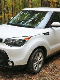 Kia Soul Hertz