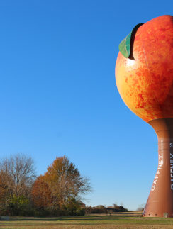 Peachoid