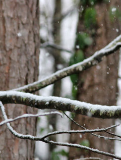 Snow Atlanta December 8 2017