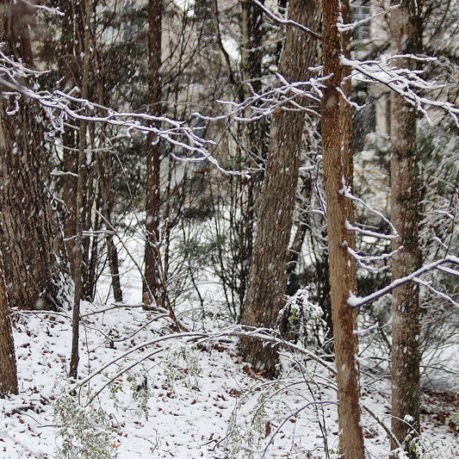 Snow Atlanta December 8 2017