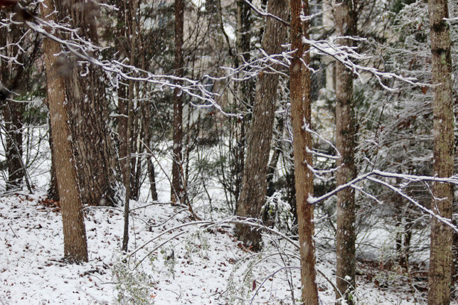Snow Atlanta December 8 2017