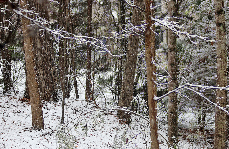 Snow Atlanta December 8 2017