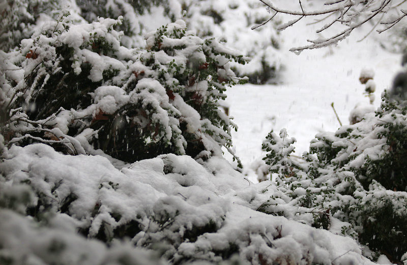 Snow Atlanta December 8 2017