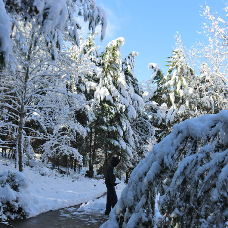 Snow Atlanta December 8 2017