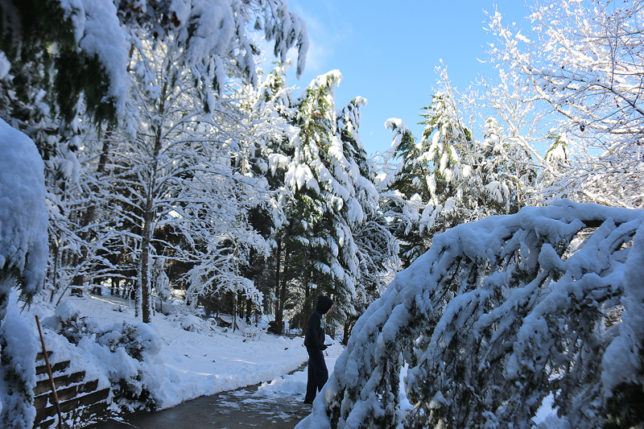 Snow Atlanta December 8 2017