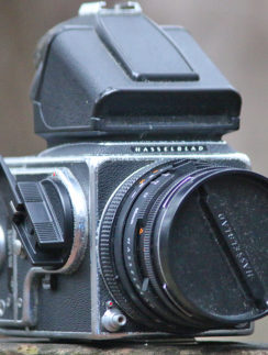 Hasselblad camera