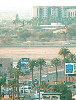 a city with palm trees and buildings