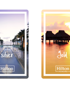 Elite status cards blue silver gold diamond