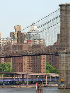 Brooklyn Reality Tour