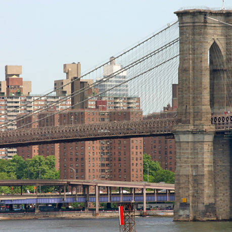 Brooklyn Reality Tour