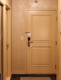 Treasure Island Hotel & Casino door