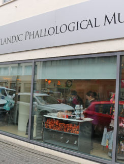 The Icelandic Phallological Museum