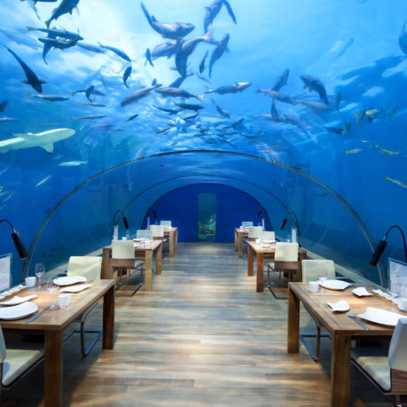Ithaa undersea restaurant