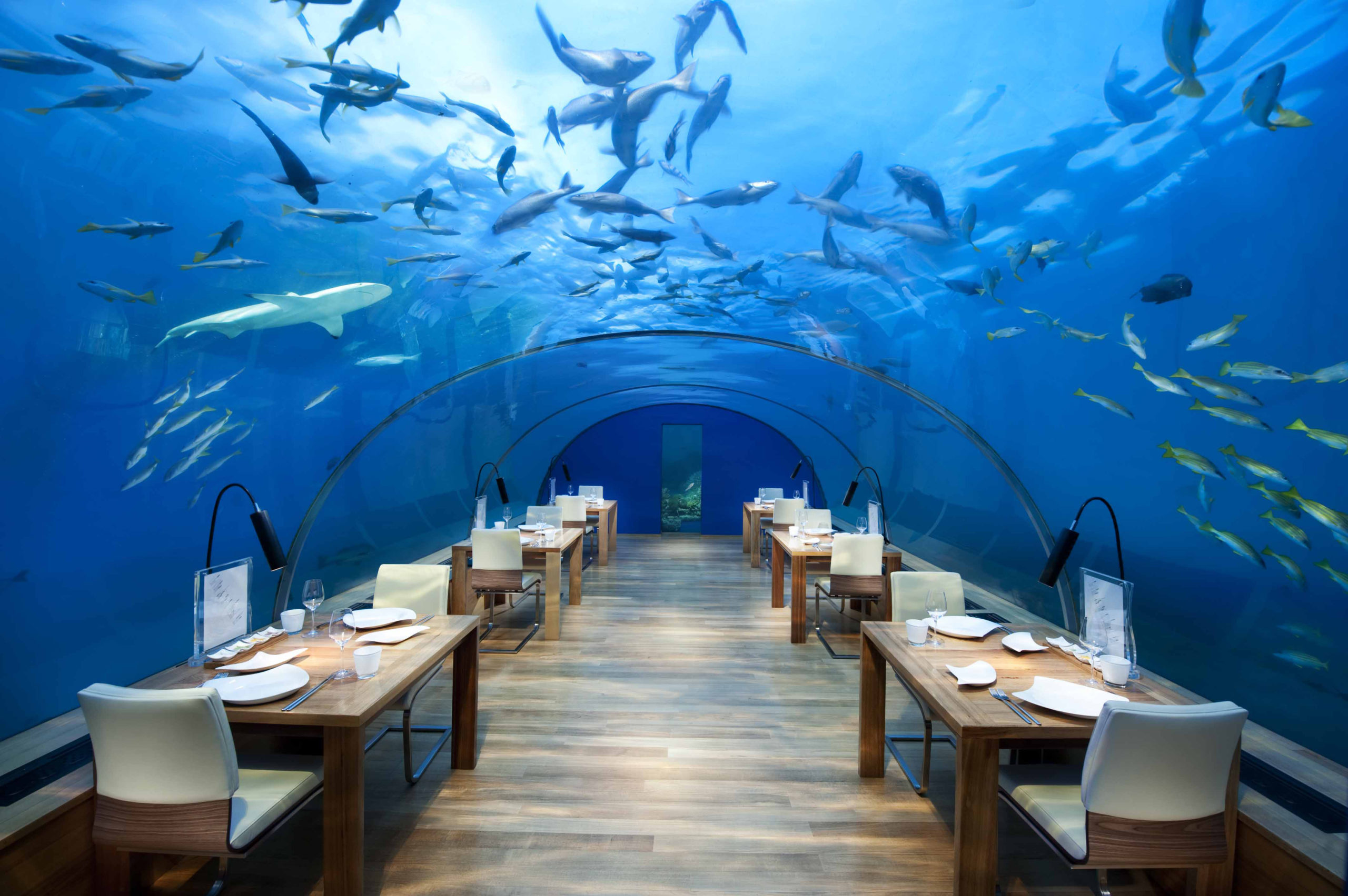 Ithaa undersea restaurant