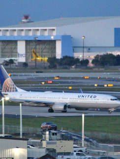 Tampa International Airport United Airlines