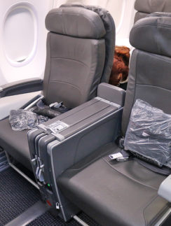 American Airlines domestic first class