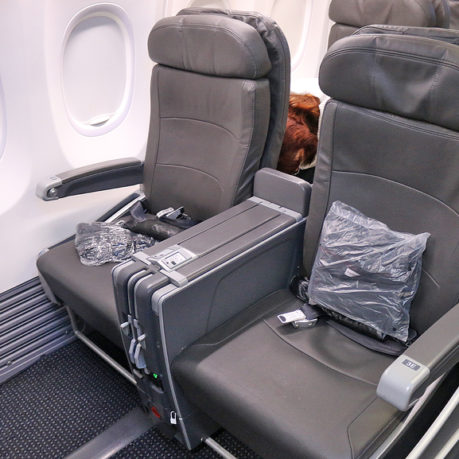 American Airlines domestic first class