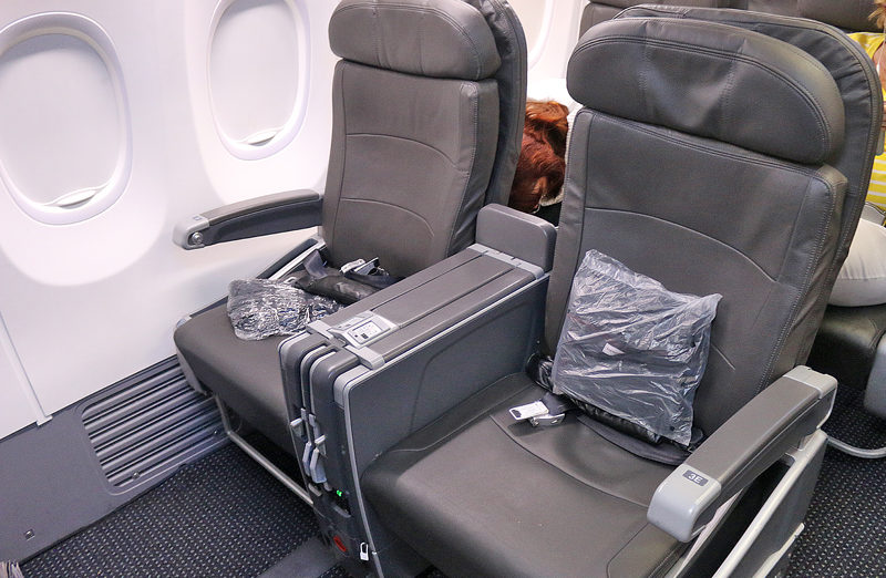 American Airlines domestic first class