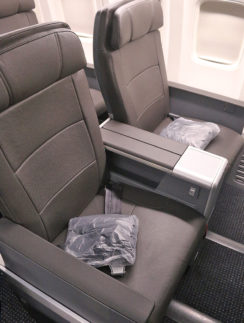 American Airlines domestic first class