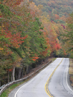 Country road fall autumn