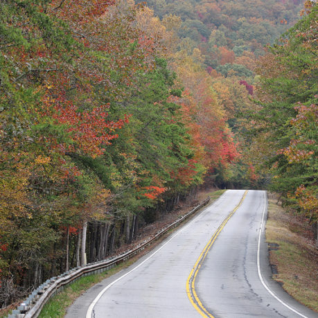 Country road fall autumn