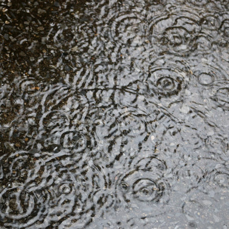 rain puddle