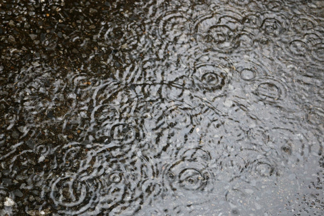 rain puddle