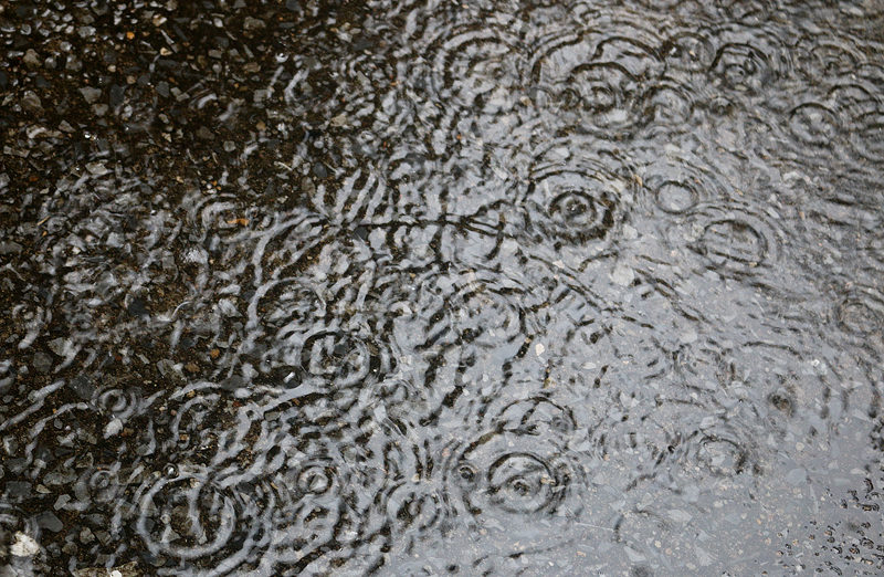 rain puddle