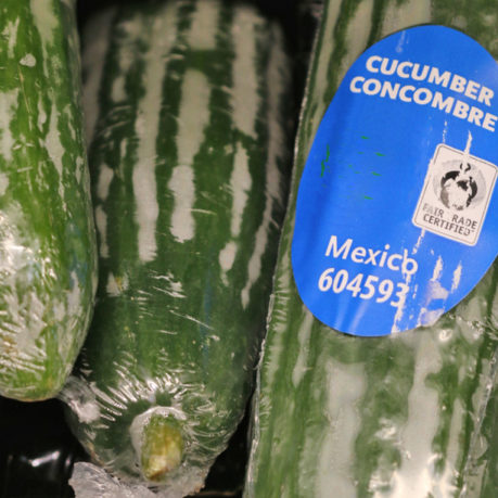 English cucumber
