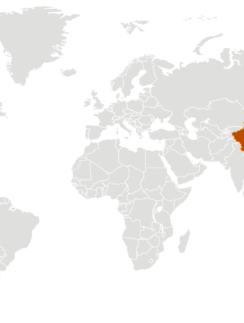 2019 Novel Coronavirus, Wuhan