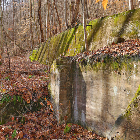 Brooklyn West Virginia