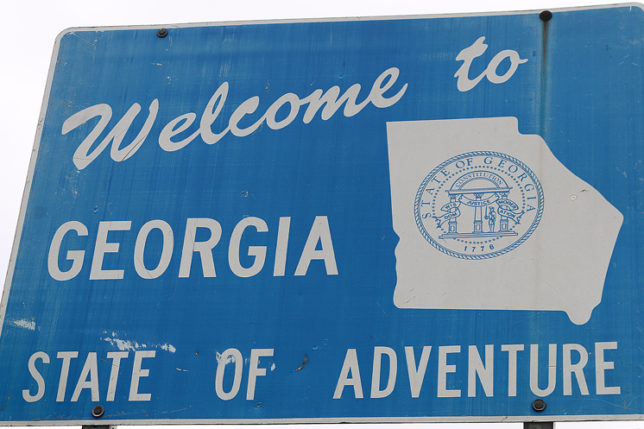 Georgia State Line