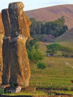 Ahu Akivi Easter Island
