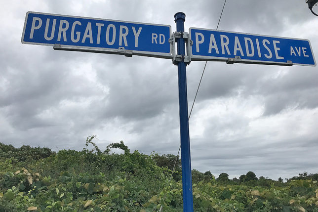 a street sign on a pole