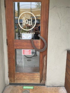 a door with a horseshoe on it