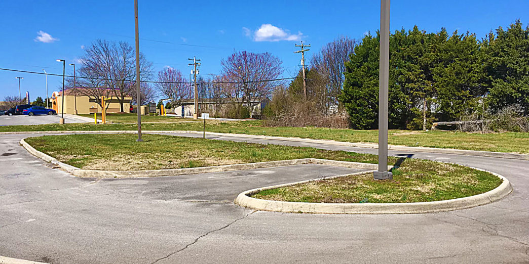 a road with grass and trees in the background