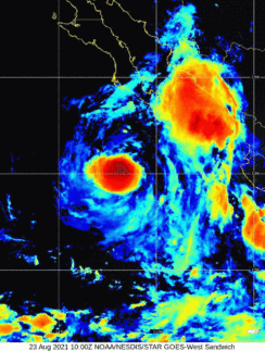 Tropical Storm Marty