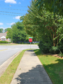 a stop sign on the side of a road