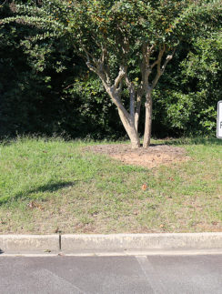 a two signs on the side of a road