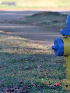 Fire Hydrant
