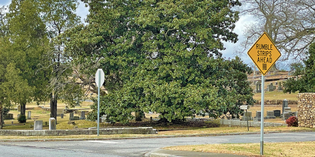 a road with a sign and a tree