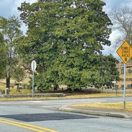 a road with a sign and a tree