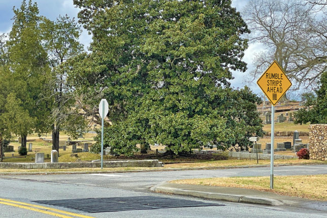 a road with a sign and a tree