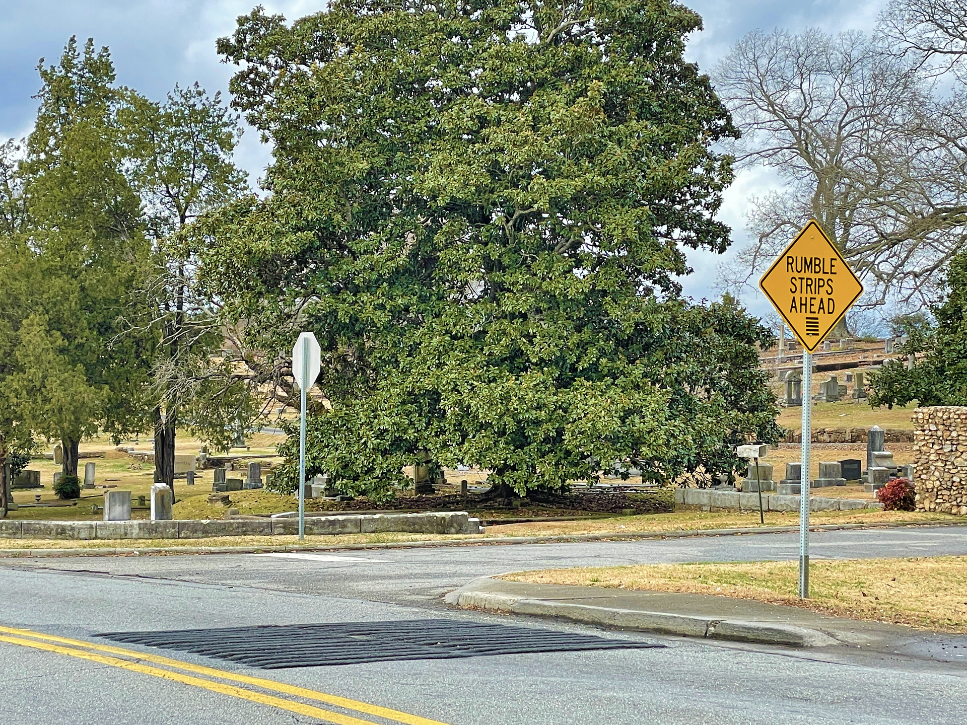 a road with a sign and a tree