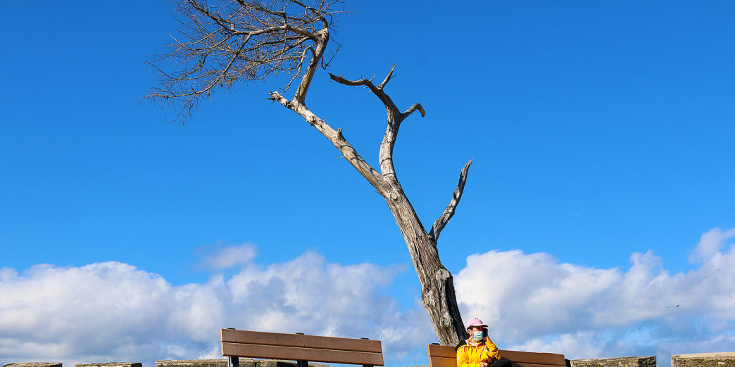 a person sitting on a bench under a tree