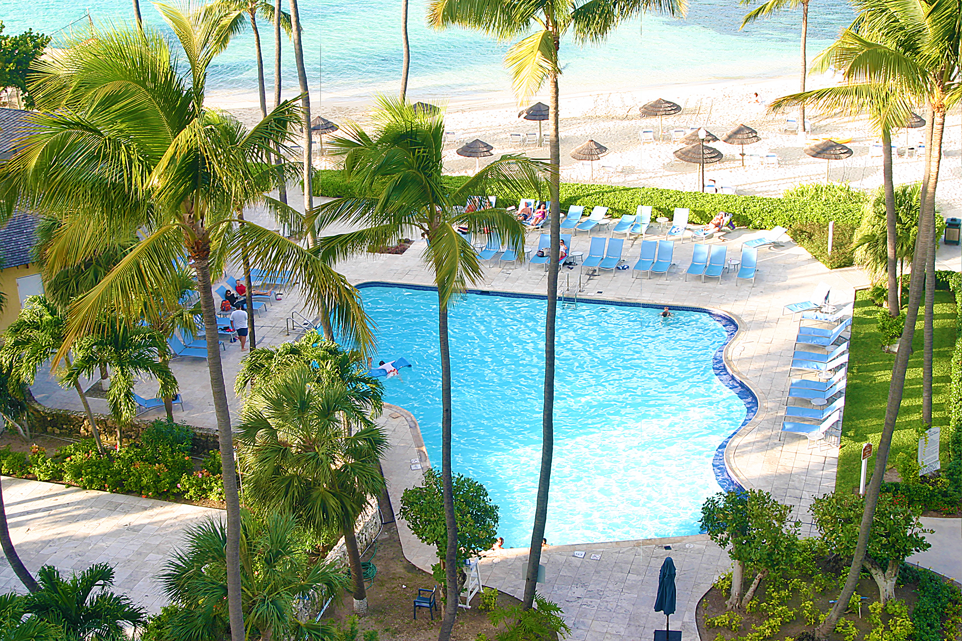 Palm trees pool British Colonial Hilton Nassau