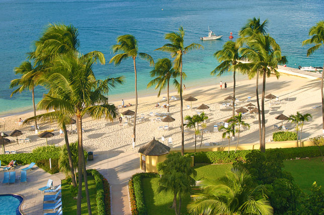 Palm trees British Colonial Hilton Nassau